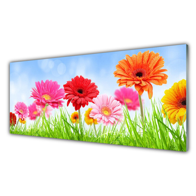 Tableaux sur verre acrylique Fleurs herbe floral multicolore