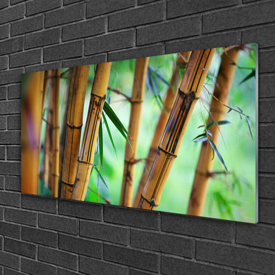 Tableaux sur verre acrylique Bambou nature jaune