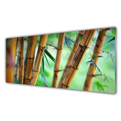 Tableaux sur verre acrylique Bambou nature jaune