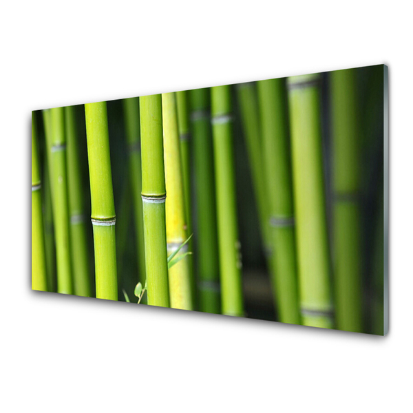 Tableaux sur verre acrylique Bambou nature vert