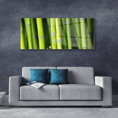 Tableaux sur verre acrylique Bambou nature vert