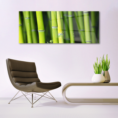 Tableaux sur verre acrylique Bambou nature vert