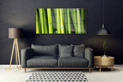 Tableaux sur verre acrylique Bambou nature vert