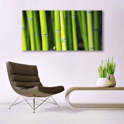 Tableaux sur verre acrylique Bambou nature vert