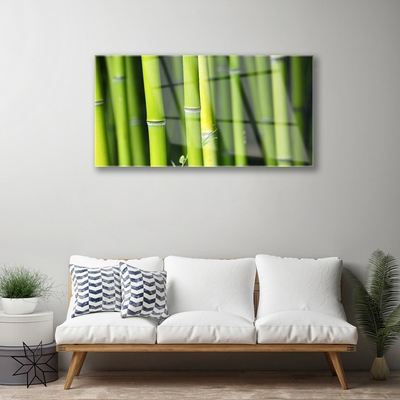 Tableaux sur verre acrylique Bambou nature vert