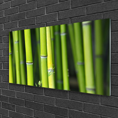 Tableaux sur verre acrylique Bambou nature vert