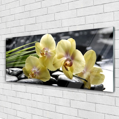 Tableaux sur verre acrylique Fleurs floral jaune