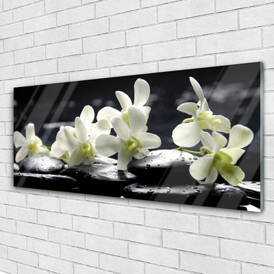 Tableaux sur verre acrylique Fleurs pierres floral blanc noir