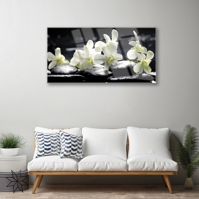 Tableaux sur verre acrylique Fleurs pierres floral blanc noir