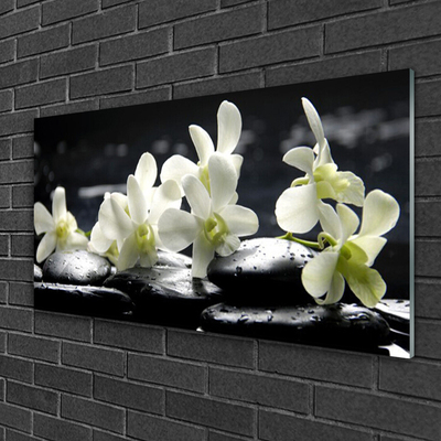 Tableaux sur verre acrylique Fleurs pierres floral blanc noir