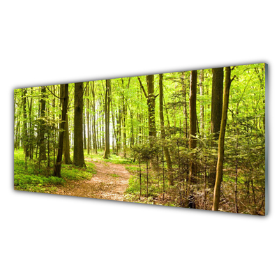 Tableaux sur verre acrylique Forêt nature brun vert