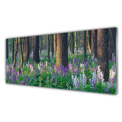 Tableaux sur verre acrylique Forêt nature brun violet vert