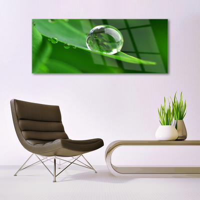 Tableaux sur verre acrylique Feuille goutte d'eau floral vert