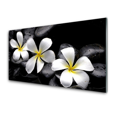 Tableaux sur verre acrylique Pierres fleurs floral blanc noir