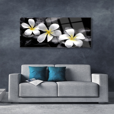 Tableaux sur verre acrylique Pierres fleurs floral blanc noir