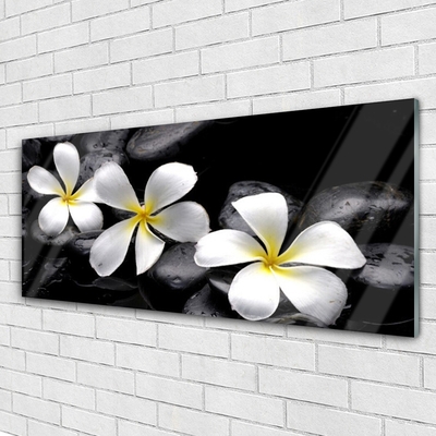 Tableaux sur verre acrylique Pierres fleurs floral blanc noir