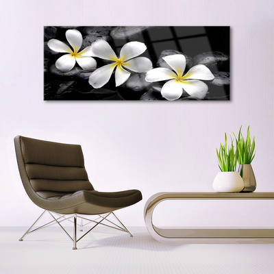 Tableaux sur verre acrylique Pierres fleurs floral blanc noir