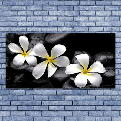 Tableaux sur verre acrylique Pierres fleurs floral blanc noir