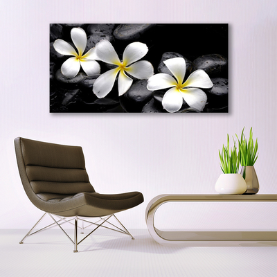 Tableaux sur verre acrylique Pierres fleurs floral blanc noir