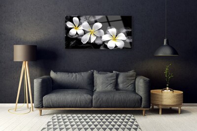 Tableaux sur verre acrylique Pierres fleurs floral blanc noir