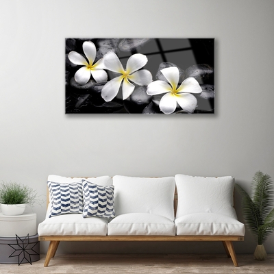 Tableaux sur verre acrylique Pierres fleurs floral blanc noir