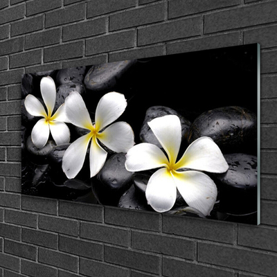 Tableaux sur verre acrylique Pierres fleurs floral blanc noir