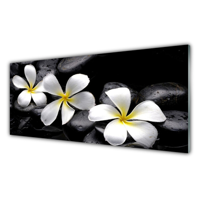 Tableaux sur verre acrylique Pierres fleurs floral blanc noir