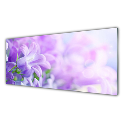 Tableaux sur verre acrylique Fleurs floral rose