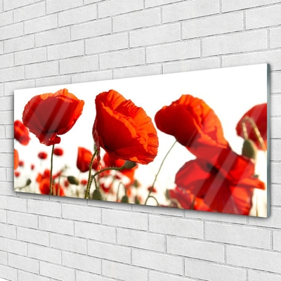 Tableaux sur verre acrylique Coquelicots floral rouge
