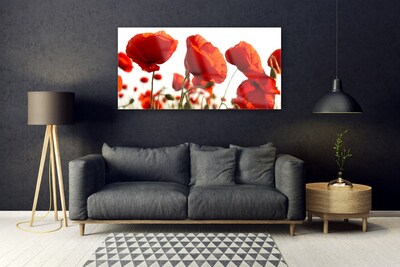Tableaux sur verre acrylique Coquelicots floral rouge