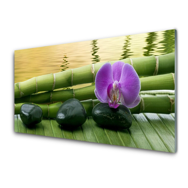 Tableaux sur verre acrylique Pierres fleurs bambou tige floral rose noir vert