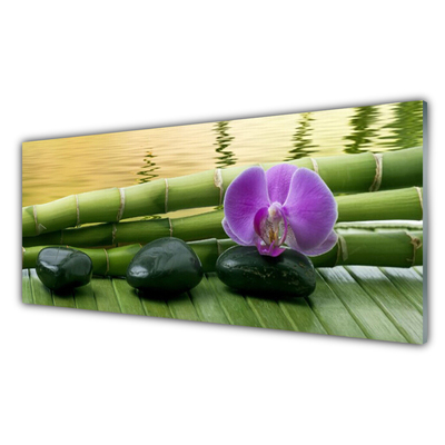 Tableaux sur verre acrylique Pierres fleurs bambou tige floral rose noir vert