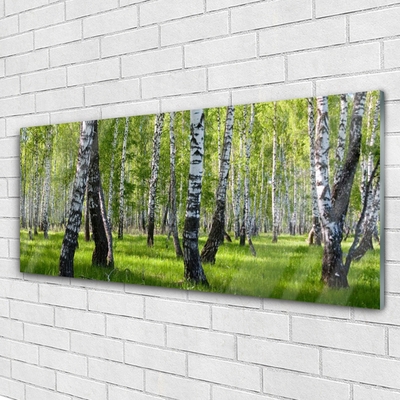 Tableaux sur verre acrylique Forêt nature noir blanc vert