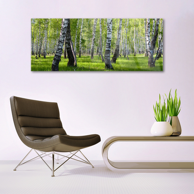 Tableaux sur verre acrylique Forêt nature noir blanc vert