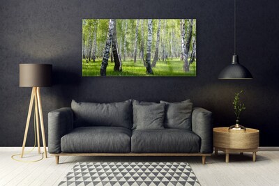 Tableaux sur verre acrylique Forêt nature noir blanc vert