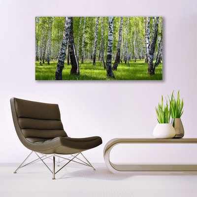 Tableaux sur verre acrylique Forêt nature noir blanc vert