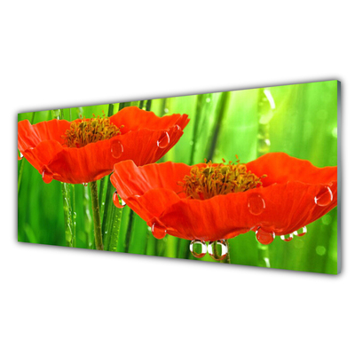 Tableaux sur verre acrylique Coquelicots floral rouge vert
