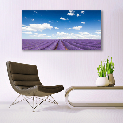 Tableaux sur verre acrylique Fleurs prairie nature violet
