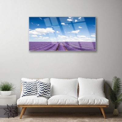 Tableaux sur verre acrylique Fleurs prairie nature violet