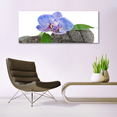 Tableaux sur verre acrylique Fleur floral violet vert