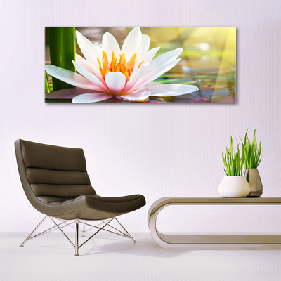 Tableaux sur verre acrylique Fleurs floral blanc rose