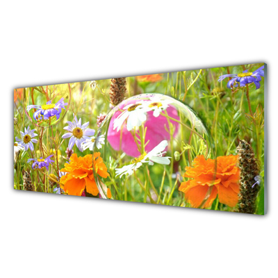 Tableaux sur verre acrylique Fleurs nature multicolore