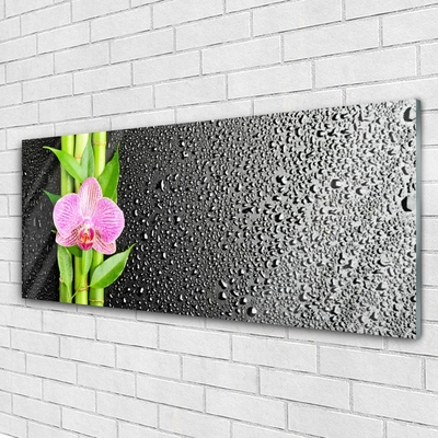 Tableaux sur verre acrylique Bambou tige fleur floral rose vert