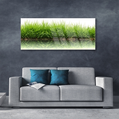 Tableaux sur verre acrylique Herbe nature vert