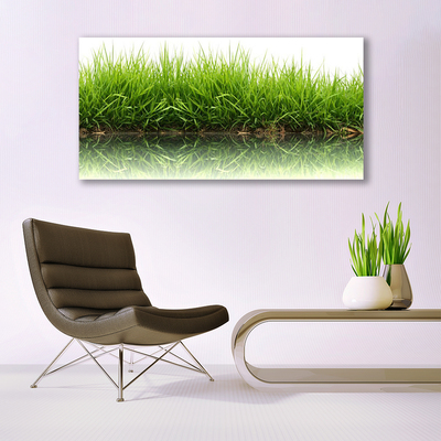 Tableaux sur verre acrylique Herbe nature vert