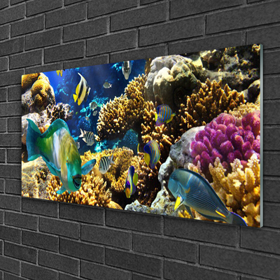 Tableaux sur verre acrylique Récif de corail nature multicolore