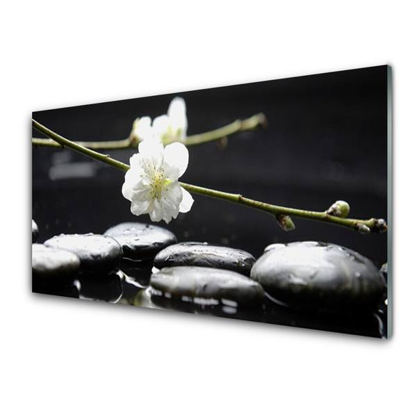 Tableaux sur verre acrylique Fleurs pierres art blanc noir