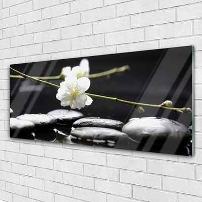 Tableaux sur verre acrylique Fleurs pierres art blanc noir