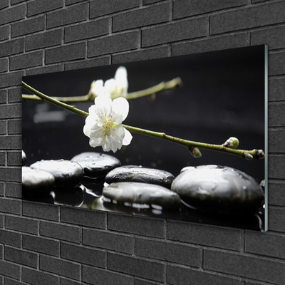 Tableaux sur verre acrylique Fleurs pierres art blanc noir