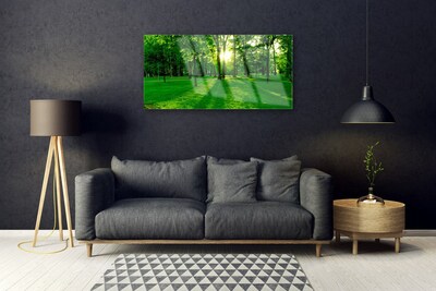 Tableaux sur verre acrylique Forêt nature brun vert